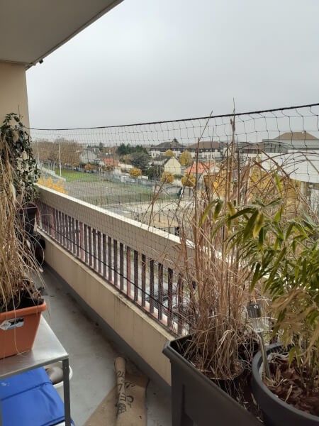 Filet de protection pour chat économique