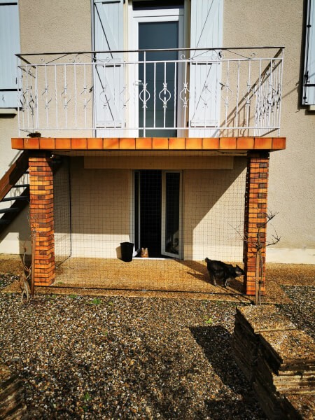 Filet pour chat extérieur économique