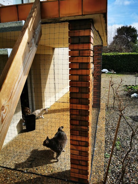 Filet pour protéger les chats extérieur