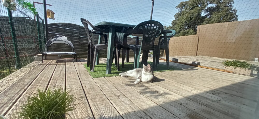 Filet de protection pour chat économique - Mailles 50 mm - DESTOCK envoyé par un client