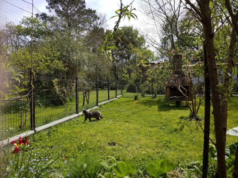 Filet de protection pour chat économique - Mailles 50 mm - DESTOCK envoyé par un client