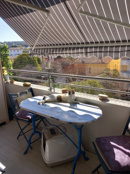 Filet blanc économique pour balcon sécurité chat