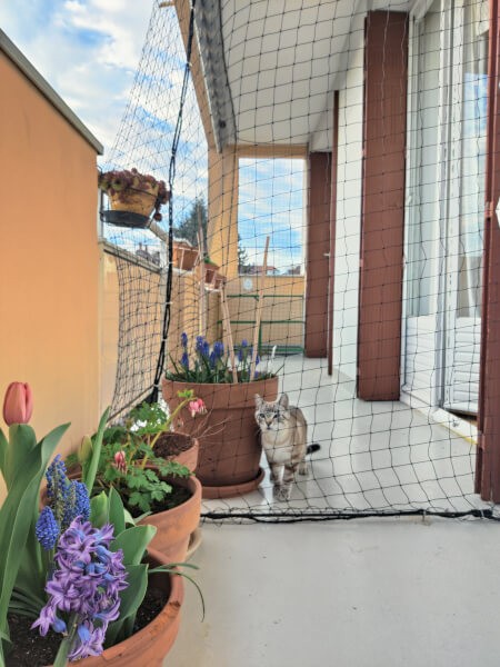 Filet protection pour chat économique pour balcon