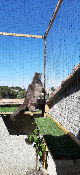 Filet de protection pour chat aménagement de terrasse