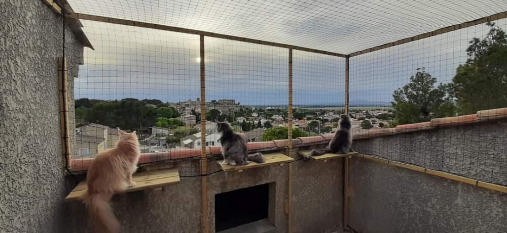 Terrasse aménagée avec filet de protection pour chats