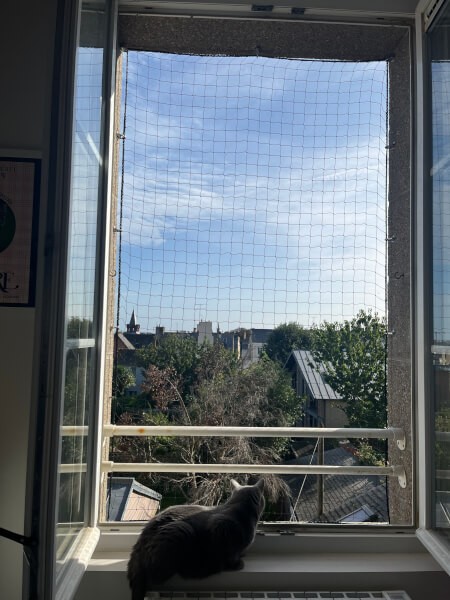 Filet de protection économique pour chat sur fenêtre