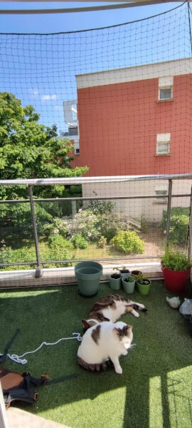 Filet de sécurité pour les chats installé sur balcon d'appartement