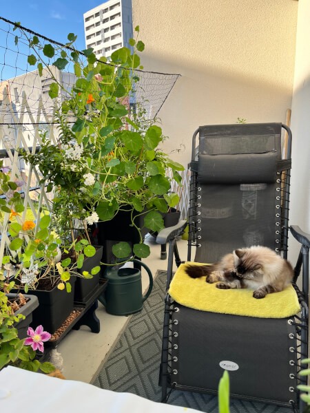 Filet de protection balcon pour chat et tuteur de plantes
