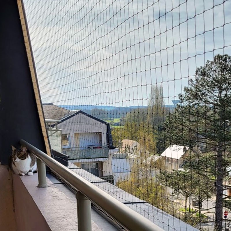 Filet de protection pour chat économique - Mailles 50 mm Filet de protection pour chat économique - Mailles 50 mm