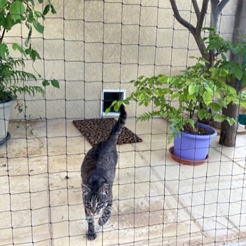 Filet de protection pour chat économique - Mailles 50 mm Filet de protection pour chat économique - Mailles 50 mm