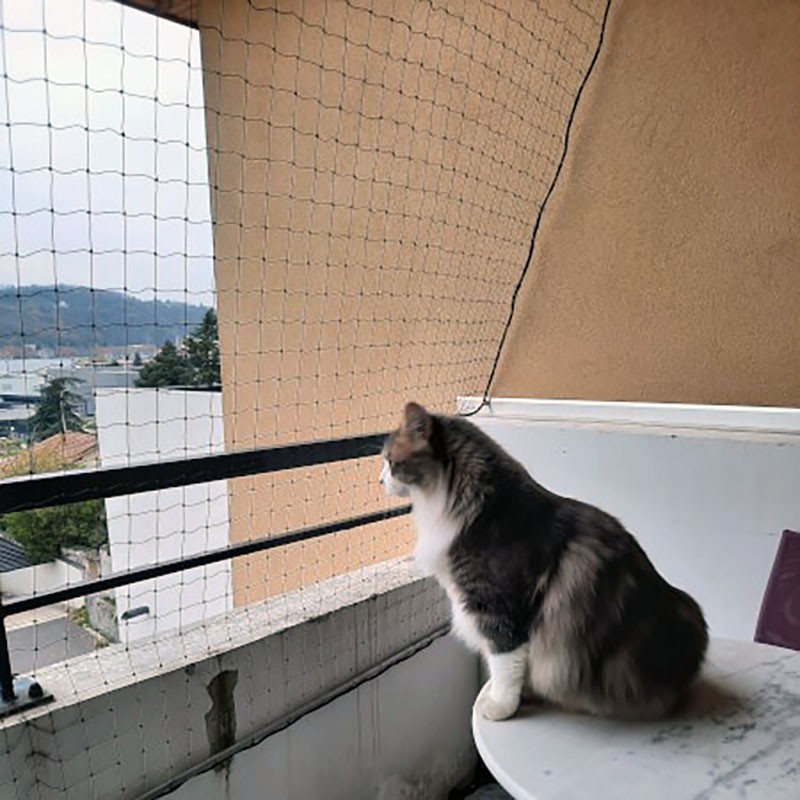 Filet de protection pour chat économique - Mailles 50 mm Filet de protection pour chat économique - Mailles 50 mm