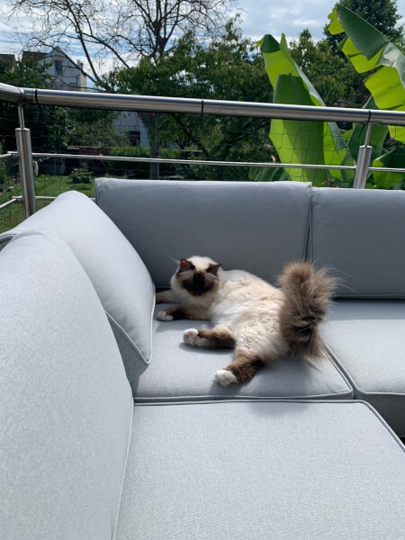 Filet de protection de garde corps de terrasse pour chat