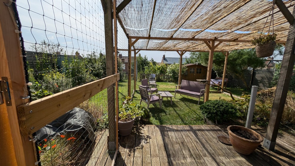 Enclos des chats avec 2 pergolas avec filet