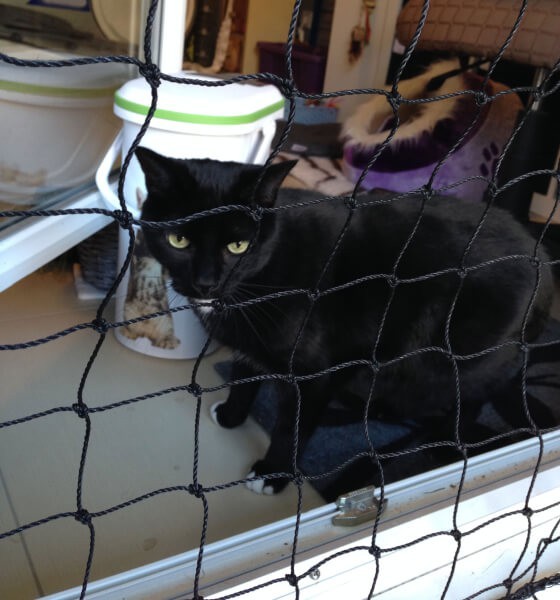 Filet de protection pour chat économique - Mailles 50 mm - DESTOCK envoyé par un client