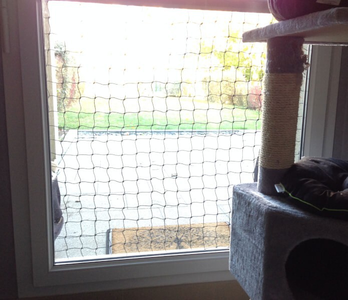 Filet de protection pour chat économique - Mailles 50 mm - DESTOCK envoyé par un client