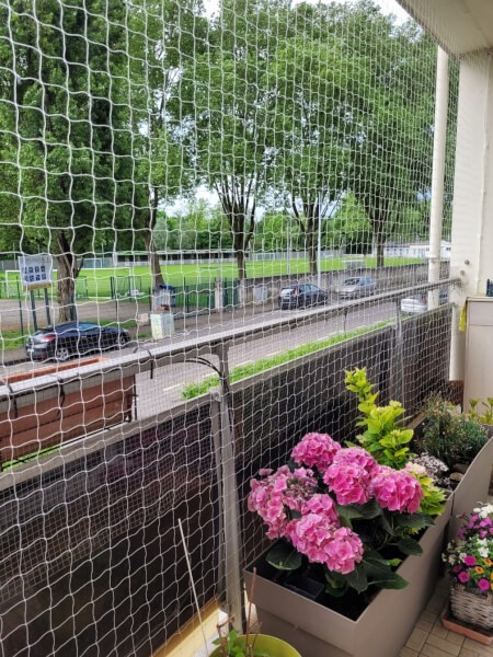 Filet de protection chats transparent pour balcon loggia