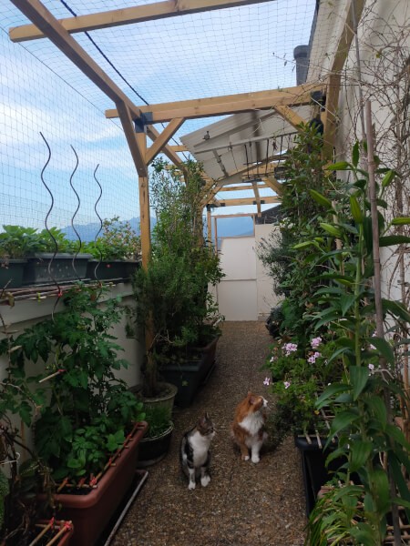 Installation filet de protection chat sur balcon d'appartement au 5ème étage