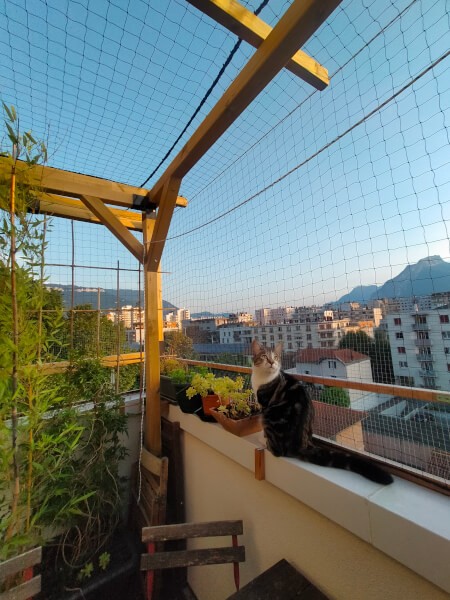 Filet de protection chat sur balcon d'appartement au 5ème étage