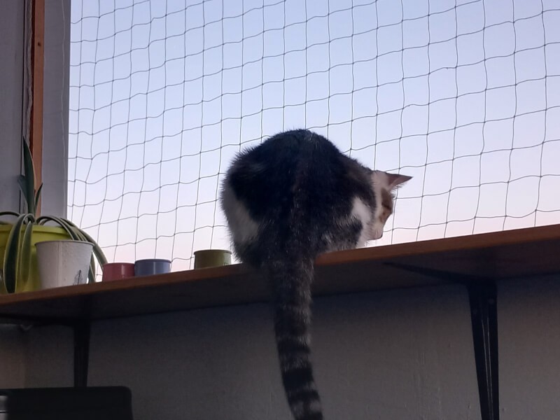 Installation d'un filet de protection pour chat sur ouverture de balcon loggia