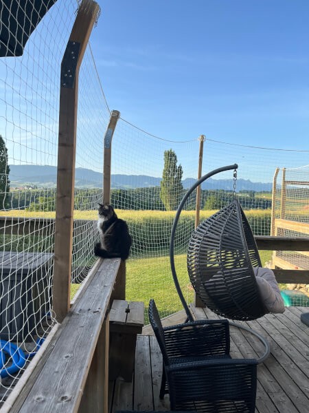 Filet de protection pour chat économique - Mailles 50 mm - DESTOCK envoyé par un client