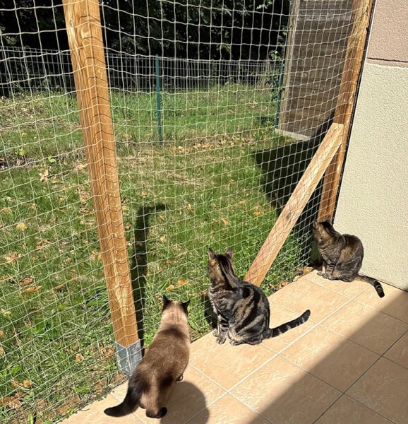 Filet de protection pour espace extérieur pour chats