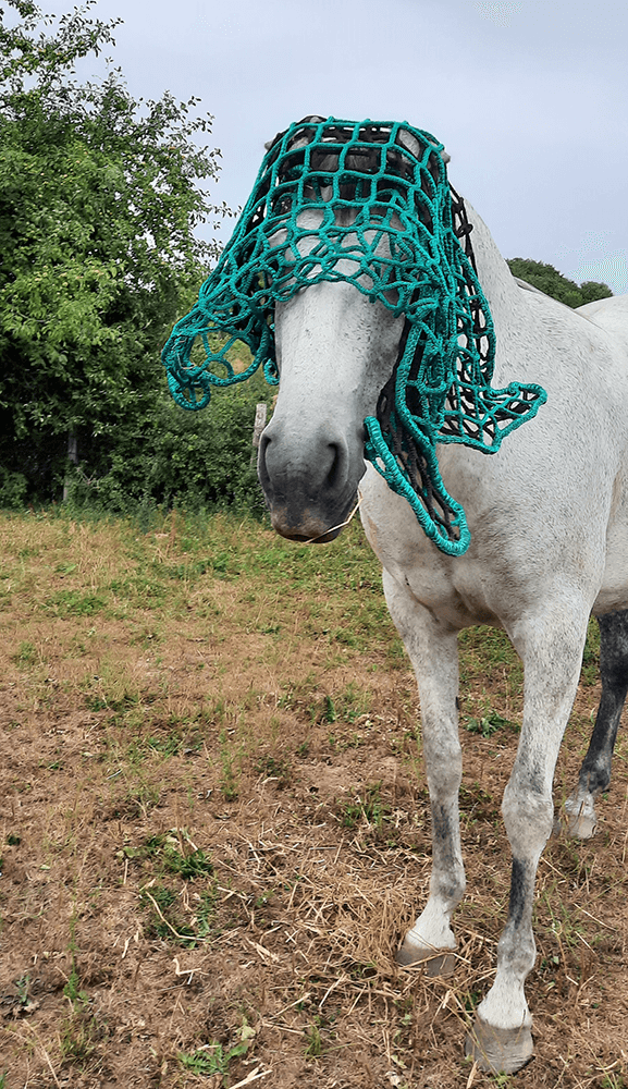 Filet à foin en forme de sac multi-mailles - Fil ∅ 5 mm - DESTOCK envoyé par un client