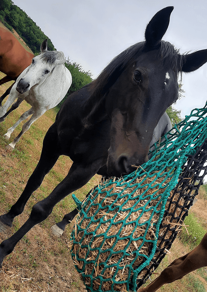 Filet à foin en forme de sac multi-mailles - Fil ∅ 5 mm - DESTOCK envoyé par un client