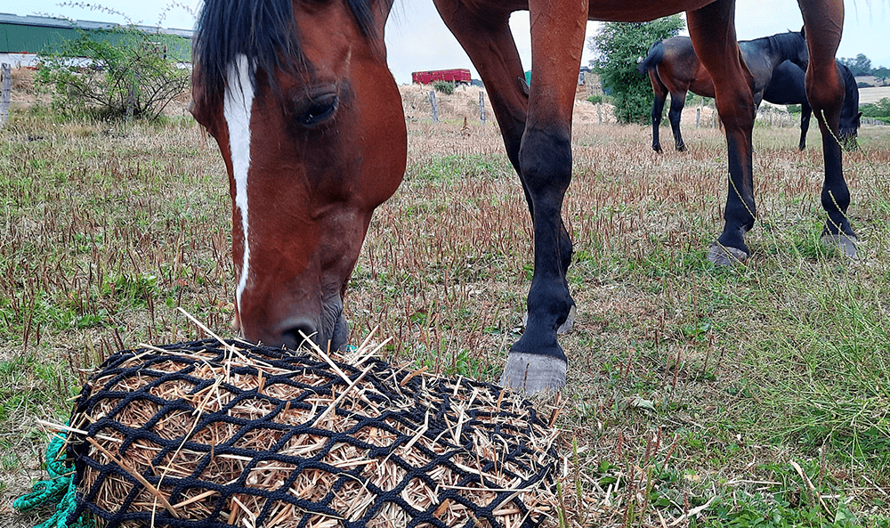 Filet à foin en forme de sac multi-mailles - Fil ∅ 5 mm - DESTOCK envoyé par un client