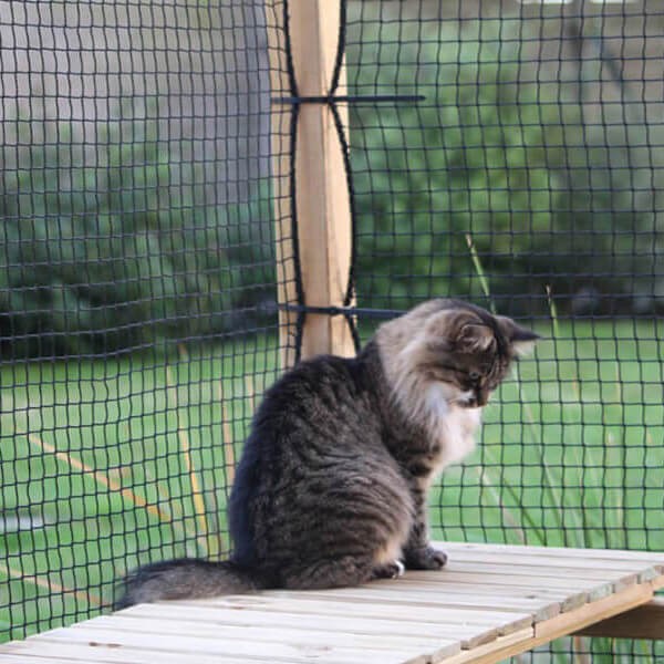 Filet de protection pour chats - Mailles 25 x 25 mm