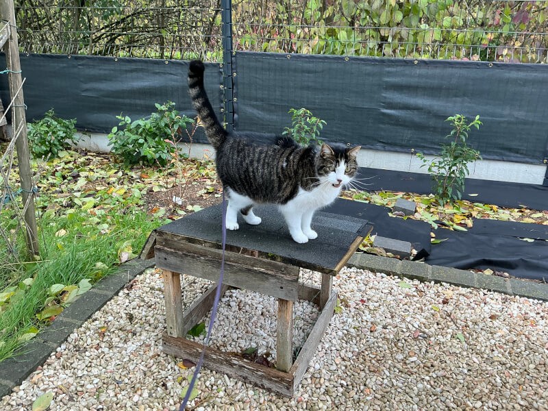 Filet brise-vue noir bas de grillage de jardin