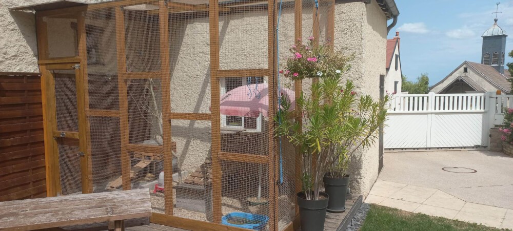 Filet anti moineaux sur mesure pour enclos de rongeurs