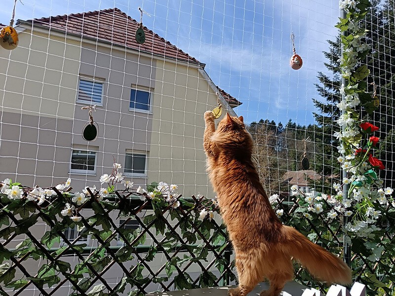 Filet de protection pour chats petites mailles - mailles 19 x 19 mm - Destock envoyé par un client