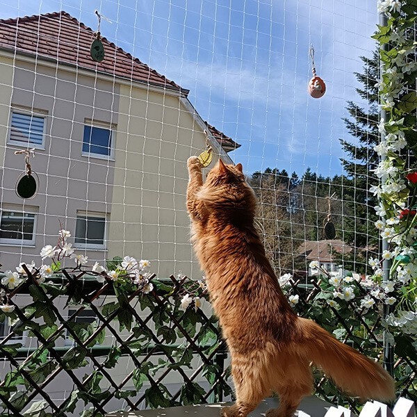 Filet anti-moineaux sur mesure - mailles 19 x 19 mm