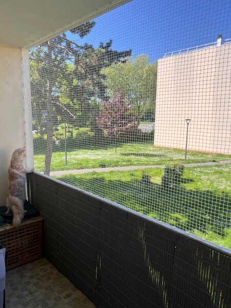Filet de protection petites mailles chats transparent sur balcon