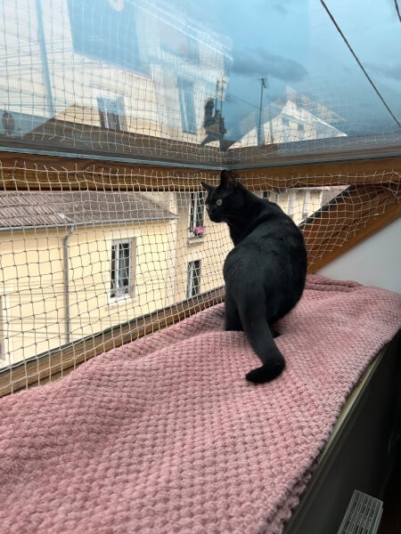 Filet de protection pour chat maille transparente sur velux