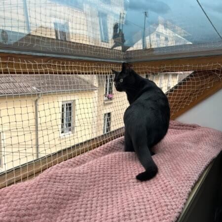 Filet anti-moineaux sur mesure - mailles 19 x 19 mm