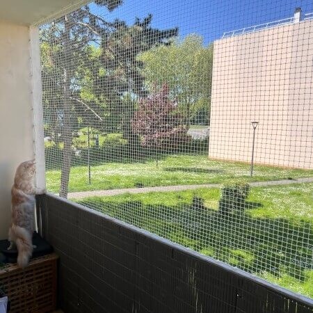 Filet anti-moineaux sur mesure - mailles 19 x 19 mm