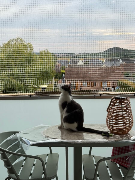 Filet de protection de balcon pour les chats