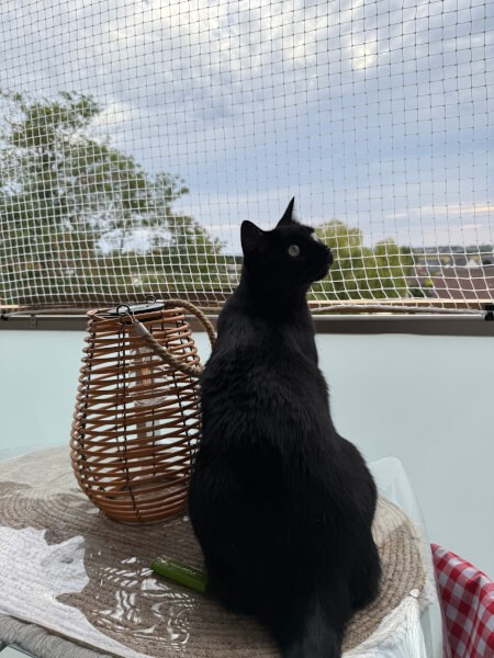 Filet de protection de balcon pour les chats en maille transparentes