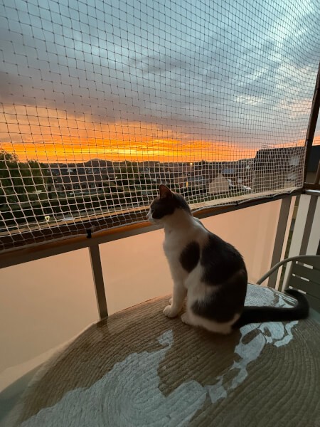 Filet de protection de balcon loggia pour les chats