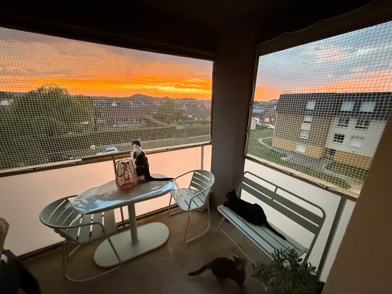 Filet de protection de balcon loggia pour les chats en mailles transparentes