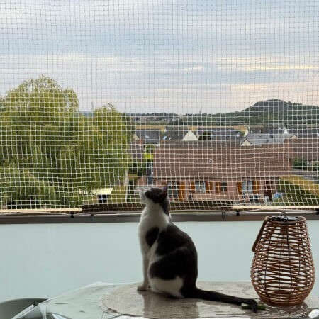 Filet anti-moineaux sur mesure - mailles 19 x 19 mm