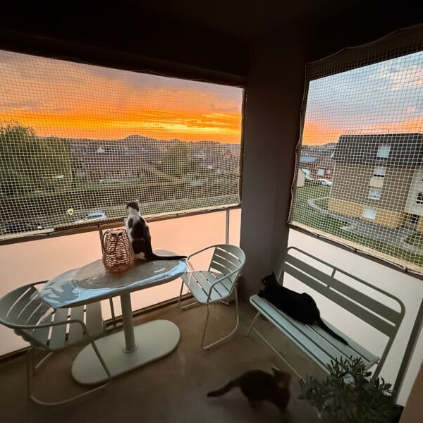 Filet anti-moineaux sur mesure - mailles 19 x 19 mm