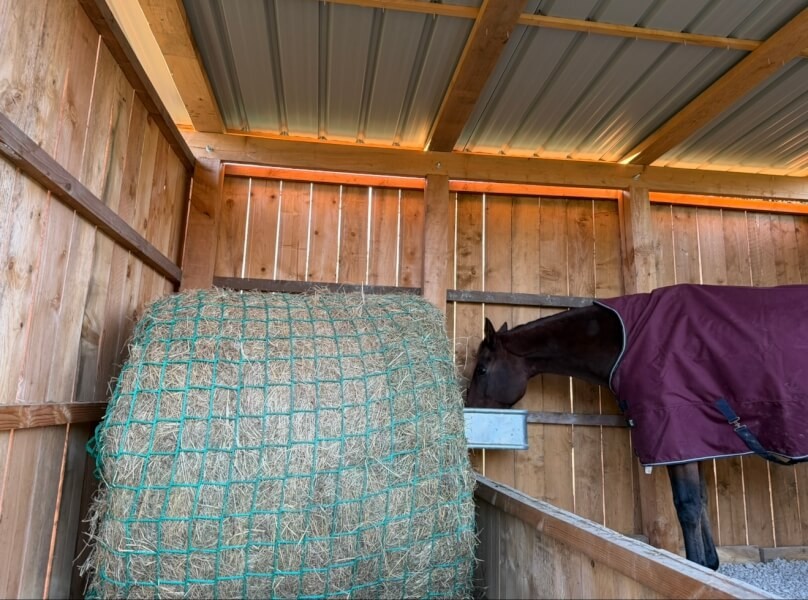 Filet à foin pour balle ronde écurie chevaux