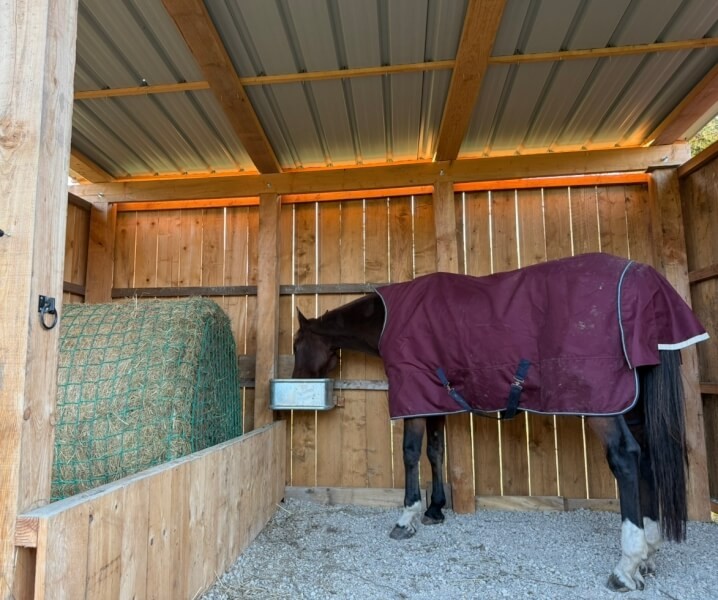 Filet à foin pour balle ronde écurie en bois chevaux