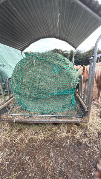 Filet à foin rectangle dans râtelier chevaux