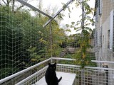 Filet de protection pour chat économique - Mailles 50 mm - ∅ 1 mm