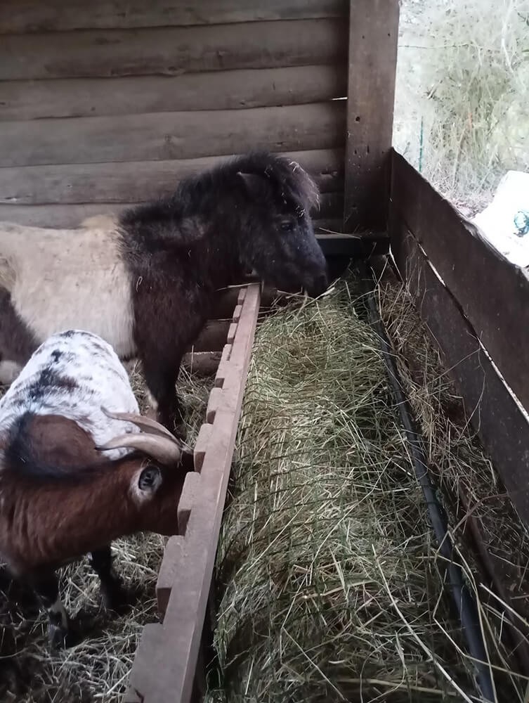 Filet pour mangeoire à chevaux économique - Mailles 45 mm - ∅ 2,5 mm envoyé par un client