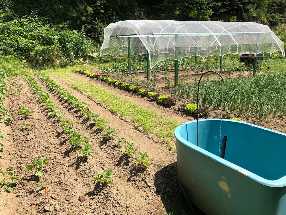 Filet anti-grêle - Mailles 4 x 8 mm - 40 g/m² envoyé par un client