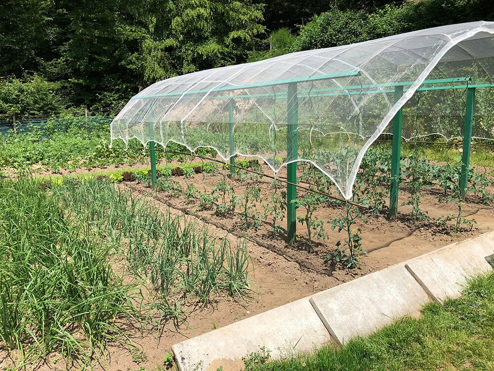 Filet anti-grêle - Mailles 4 x 8 mm - 40 g/m² envoyé par un client